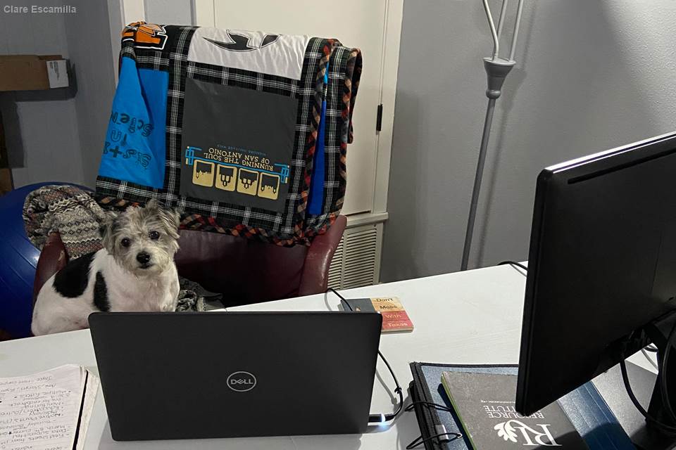 With new circumstances come new routines. TWRI Research Specialist Clare Escamilla’s dog Duncan now understands the command “Let’s go to work!” and will jump off the couch and run over to her desk to start the work day.